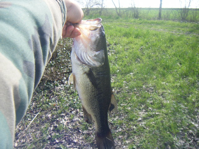DSCF2258.JPG