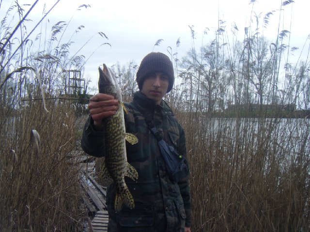 DSCF2269.JPG