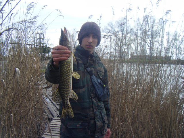DSCF2270.JPG