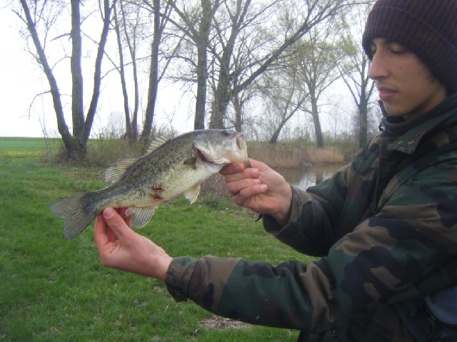 DSCF2274.JPG
