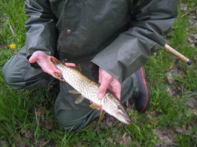 DSCF2278.JPG