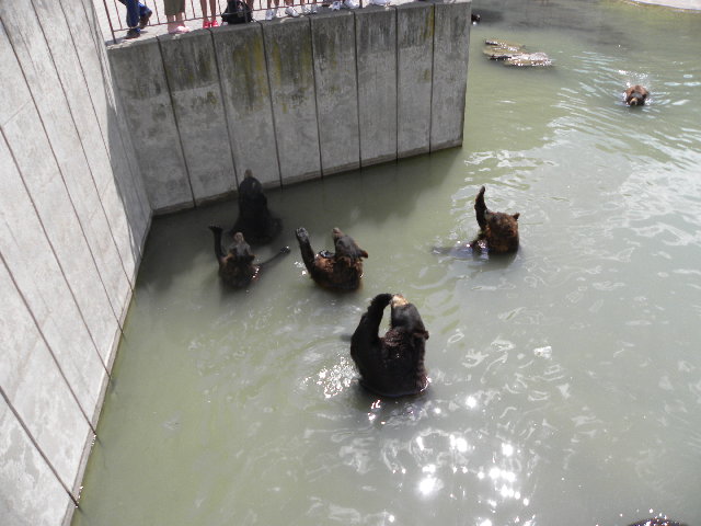 DSCN2906.JPG
