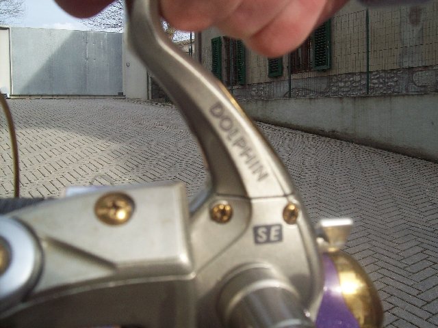 100_2930.JPG