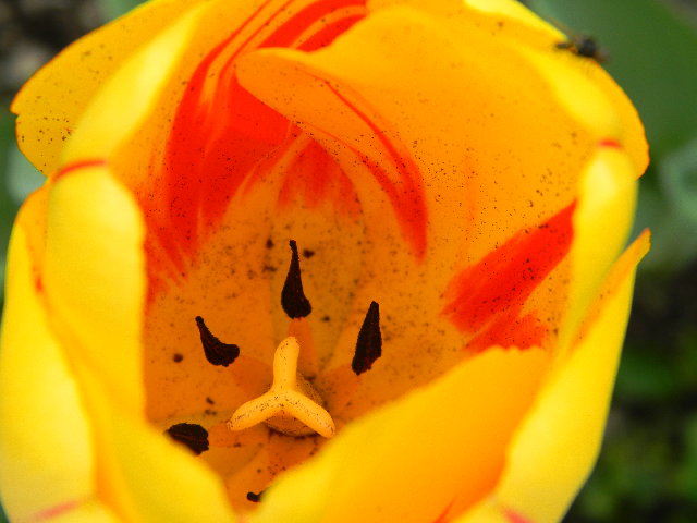 DSCN0429.JPG