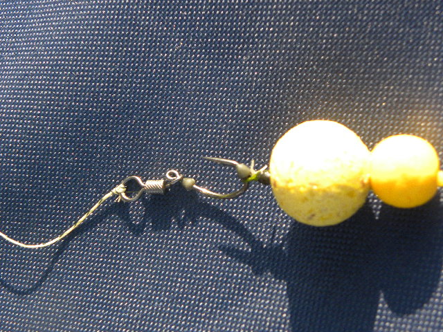 DSCN4013.JPG