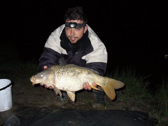 mia regina notturna sui 3.5kg.jpg