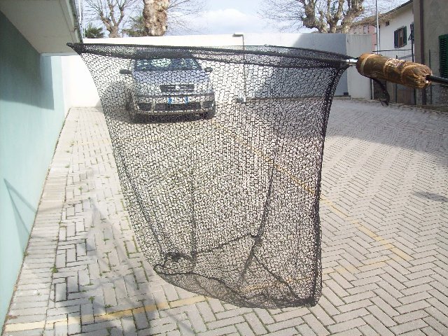 100_2938.JPG