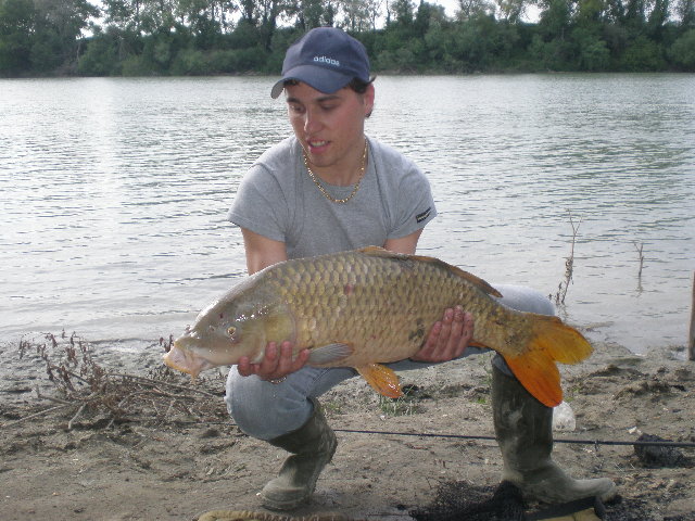 P4220154.JPG