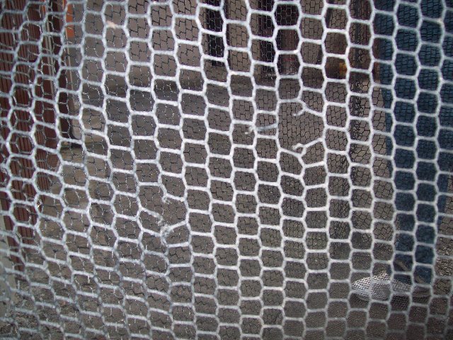 100_2962.JPG