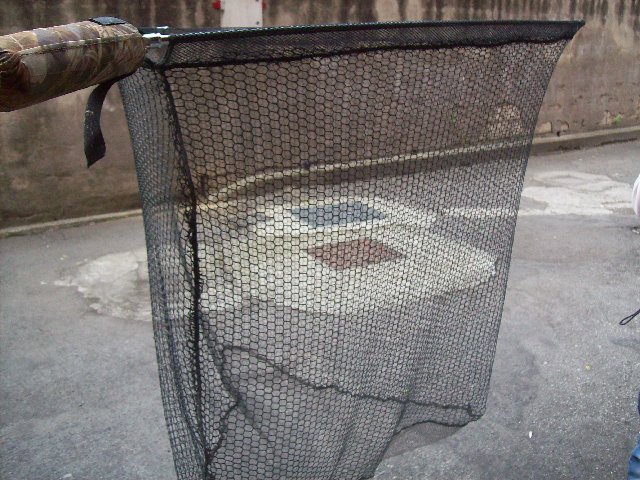 100_2964.JPG