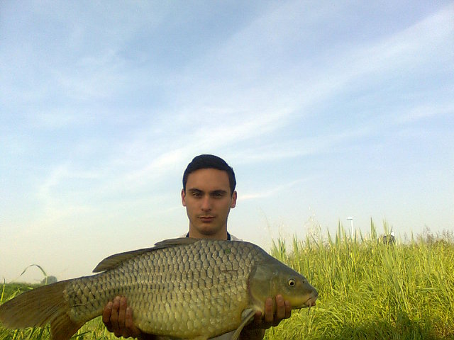 7.25.jpg (135.18 KiB) Visto 4321 volte 7.25.jpg