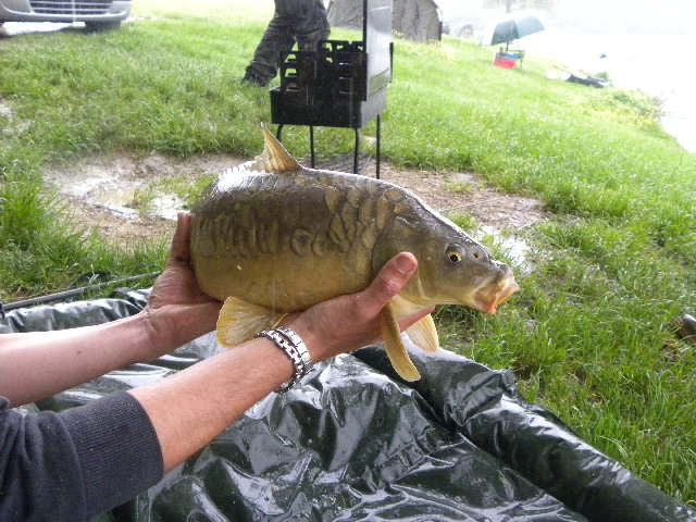 DSCN4169.JPG