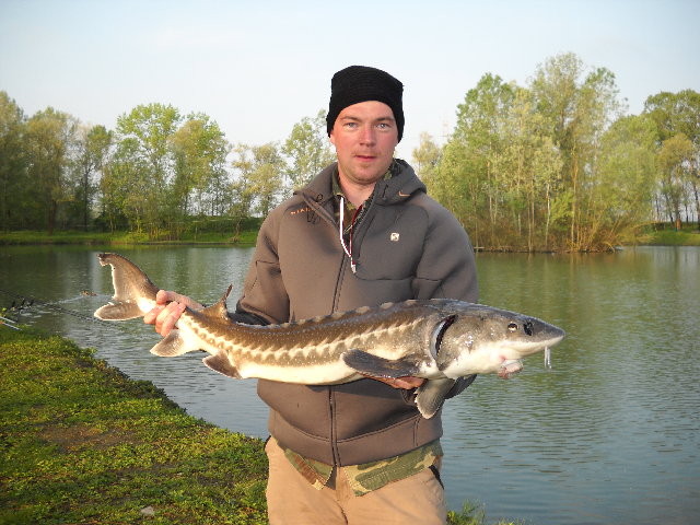 DSCN0370.JPG