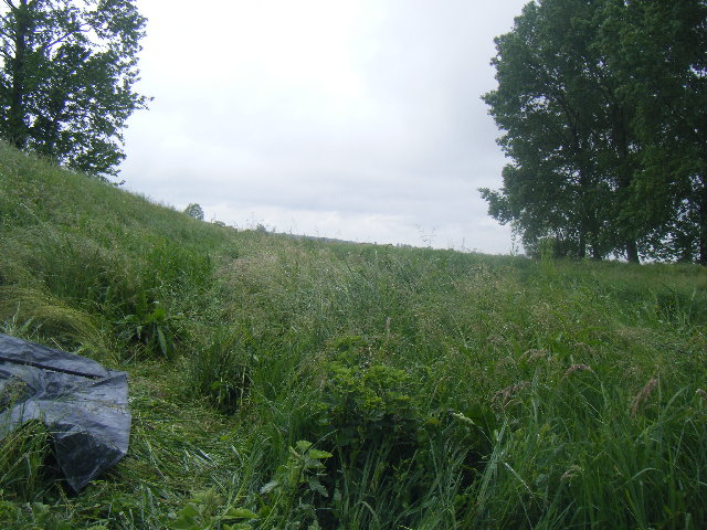 DSCF2296.JPG