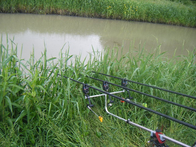 DSCF2298.JPG