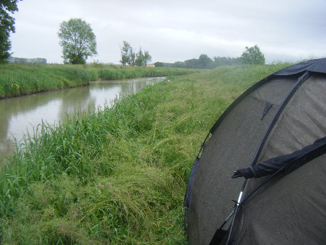 DSCF2301.JPG