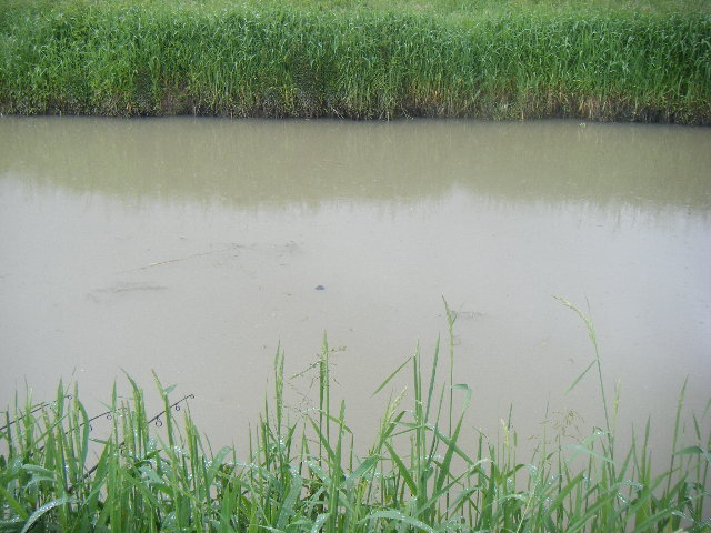 DSCF2302.JPG