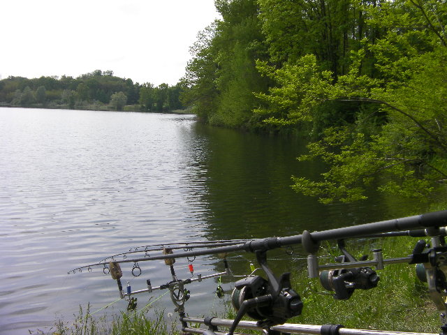 SANY0053.JPG
