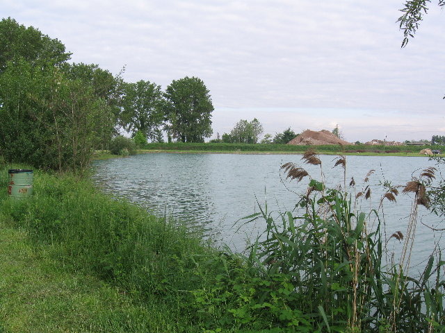 Immagine 147.jpg