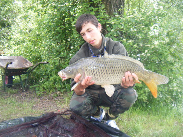 DSCF2336.JPG