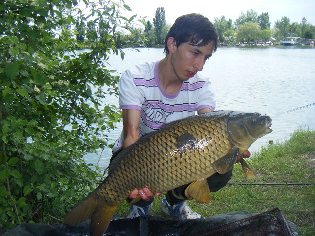 DSCF2343.JPG