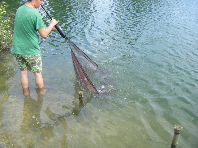 DSCF2341.JPG