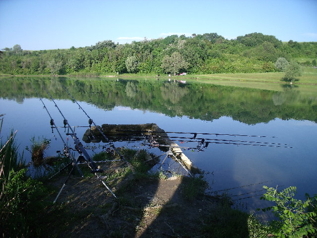 DSCF3029.JPG
