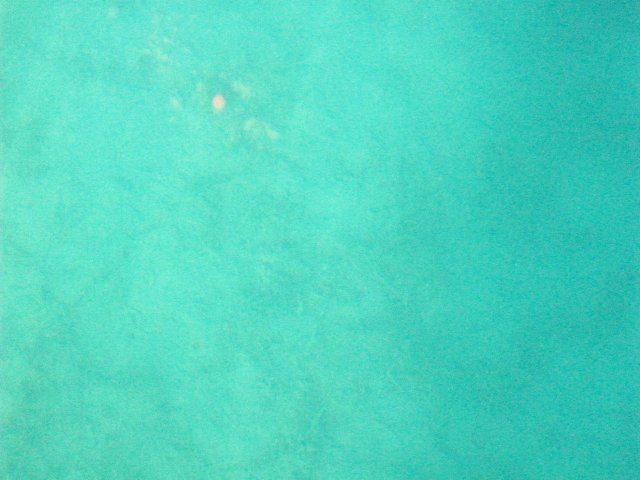 100_1394.JPG