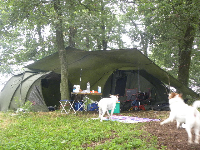 DSCN4511.jpg