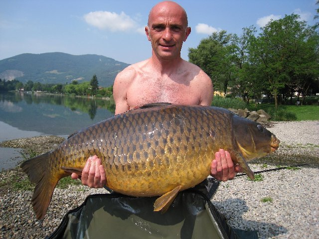 record endine 2010 2.jpg