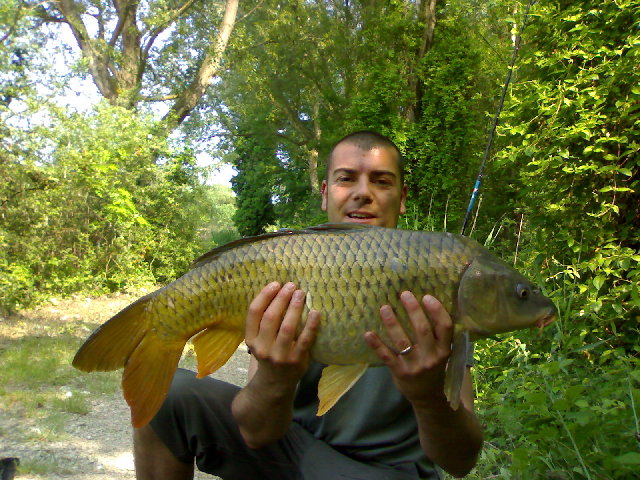 8 kg fossa 09.jpg