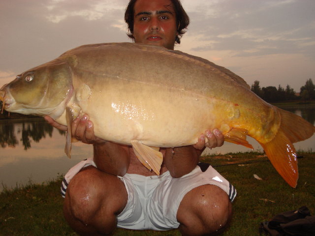 DSC01216.JPG