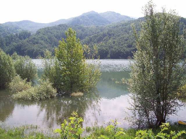 100_3534.JPG