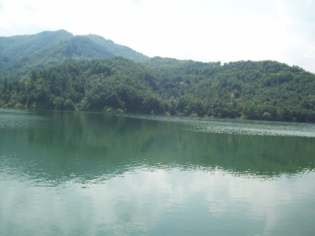100_3554.JPG