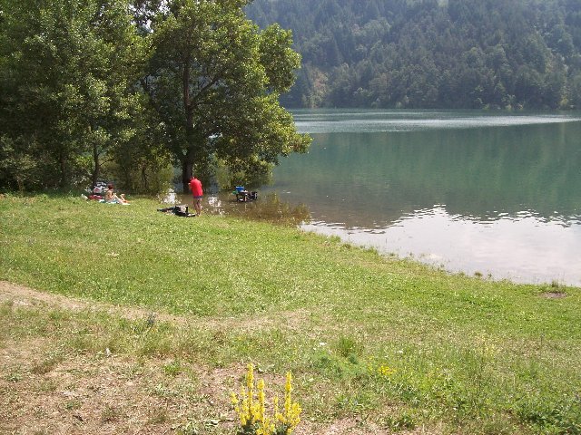 100_3550.JPG