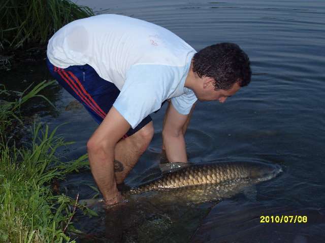 SDC11753.JPG