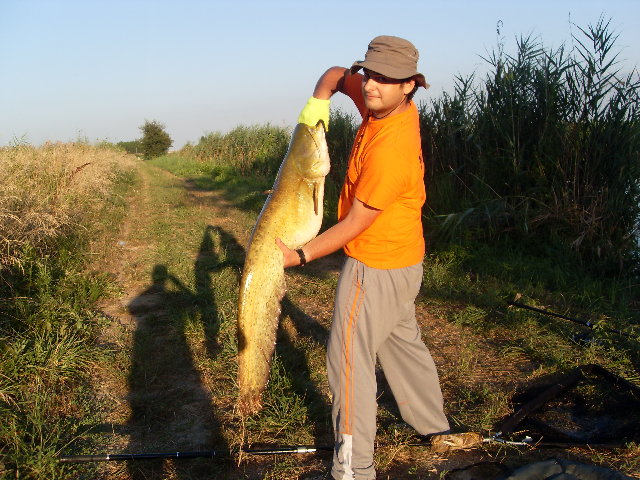 Lorgana - siluro 14 kg - luglio.JPG (1.99 MiB) Visto 3553 volte Lorgana - siluro 14 kg - luglio.JPG