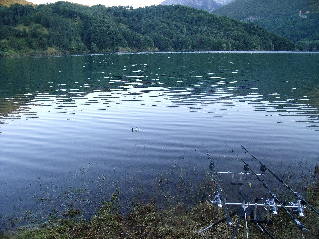 DSCF3196.JPG