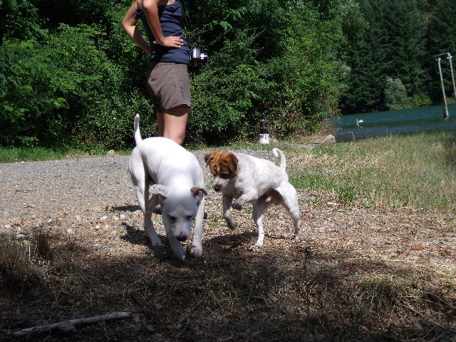 DSCF3168.JPG