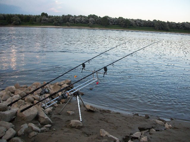 100_0444.jpg