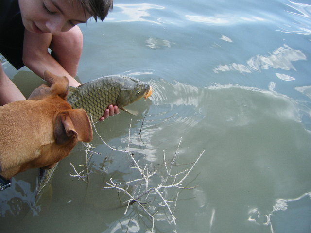 DSCF0918.JPG