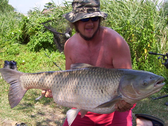 BIG AMUR.jpg (915.2 KiB) Visto 4595 volte BIG AMUR.jpg