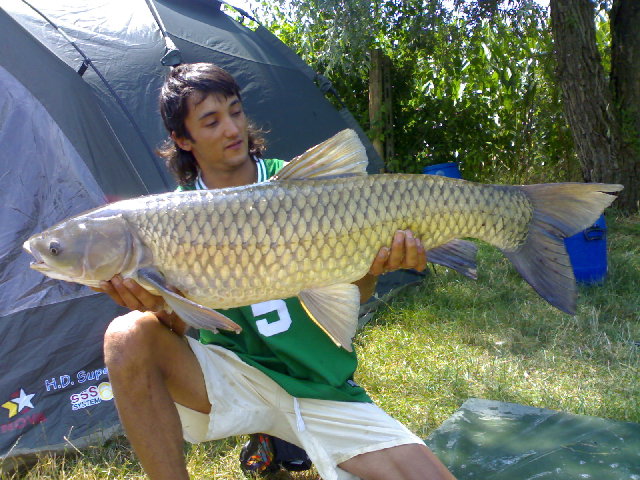 27072008055.jpg