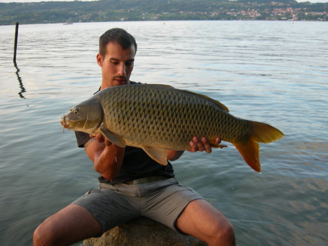 DSCN3886.JPG