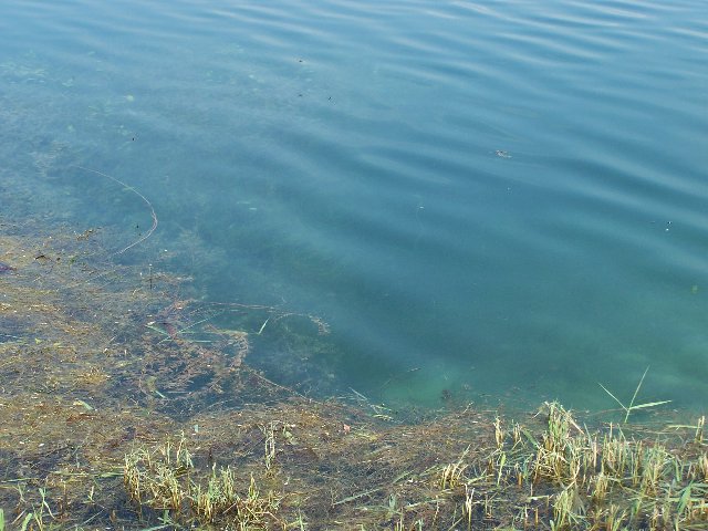 100_4451.JPG