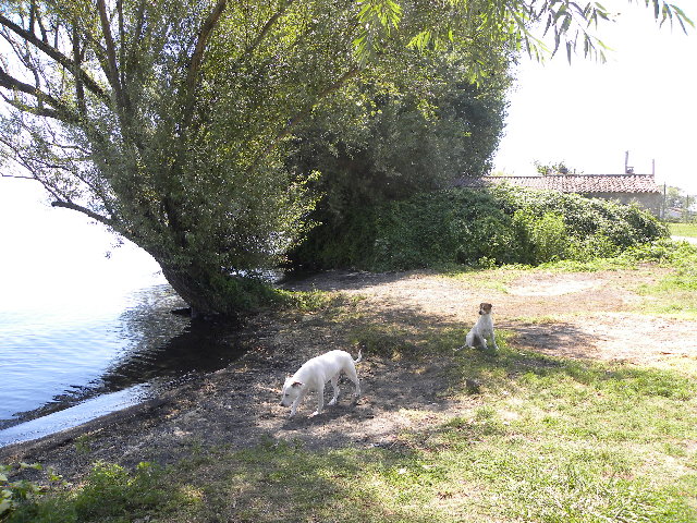 DSCN5068.JPG
