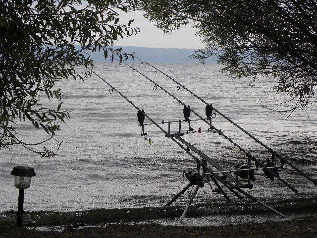 DSCN4876.JPG