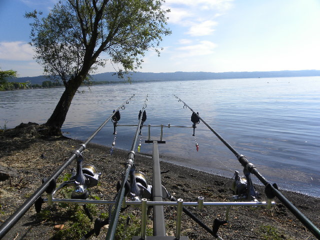 DSCN5051.JPG