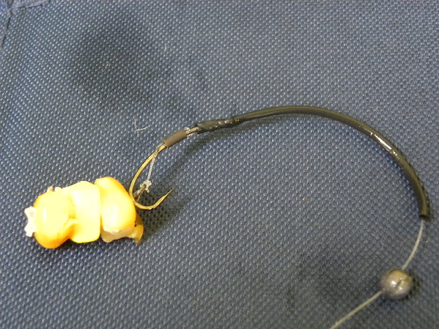 DSCN4887.JPG