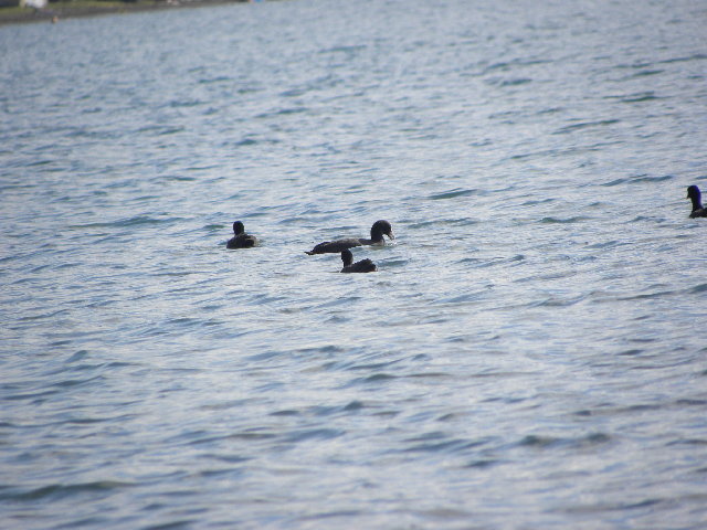 DSCN4927.JPG